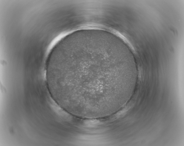 X0000091191462200708091241