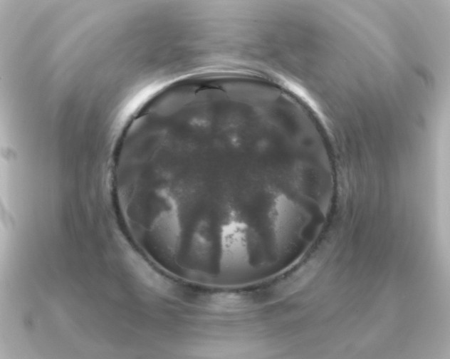 X0000091191463200708091241