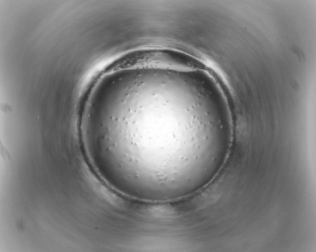 X0000091191464200708091241