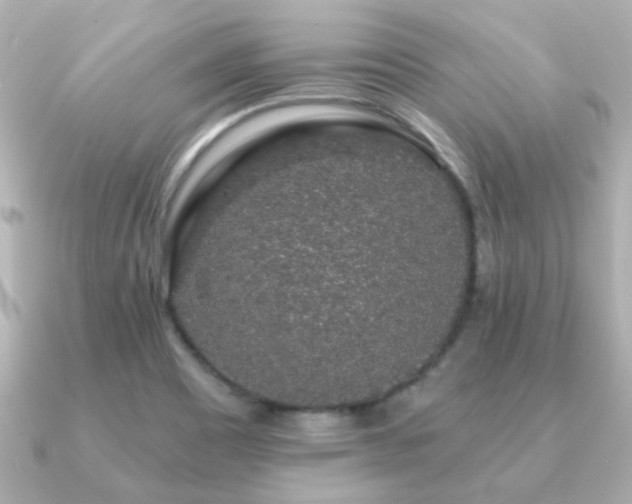X0000091191465200708091241