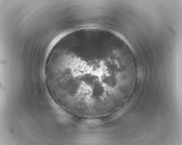X0000091191466200708091241