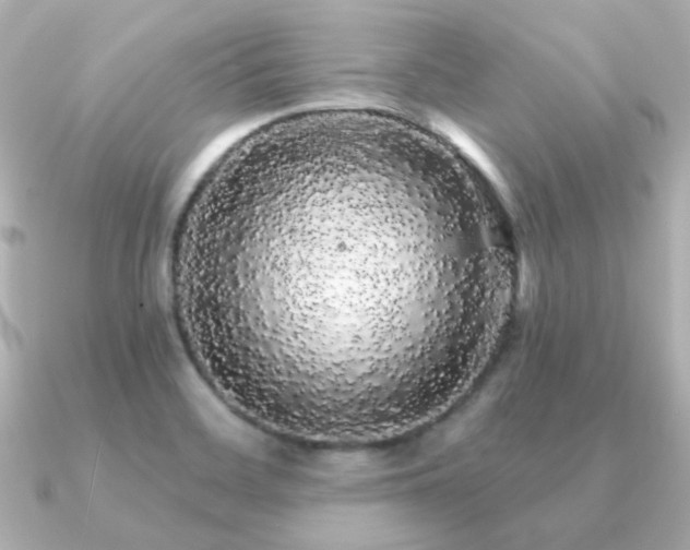 X0000091191468200708091241