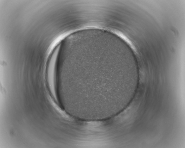 X0000091191469200708091241