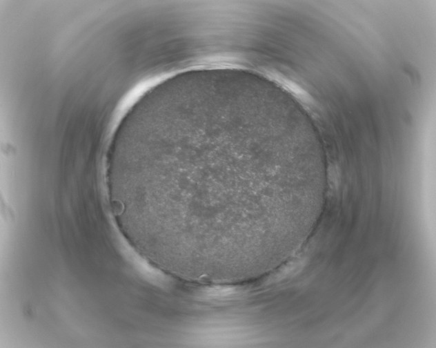 X0000091191470200708091241