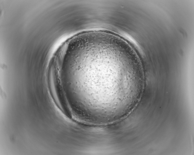 X0000091191472200708091240