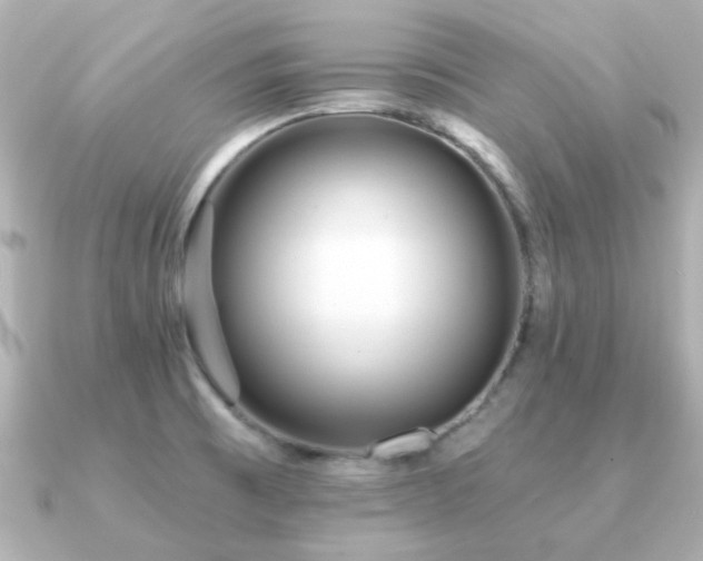 X0000091191473200708091240