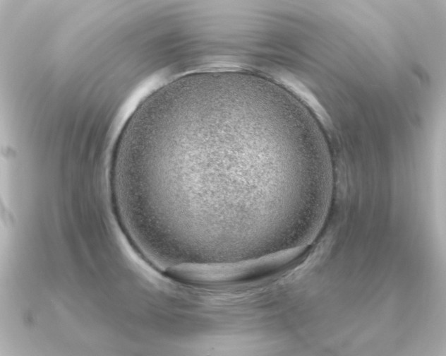 X0000091191475200708091240