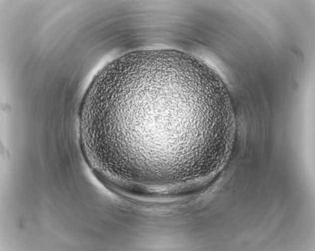 X0000091191476200708091240