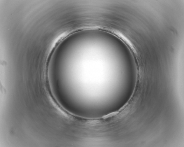 X0000091191477200708091240