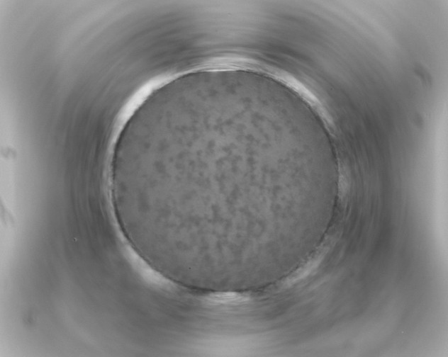 X0000091191478200708091240