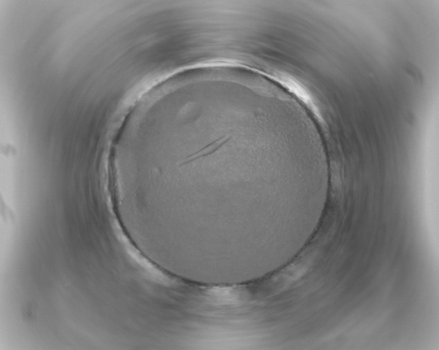 X0000091191480200708091240
