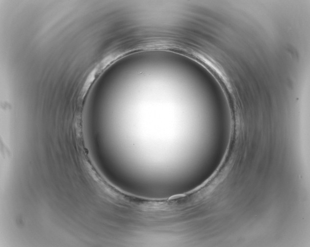 X0000091191481200708091240