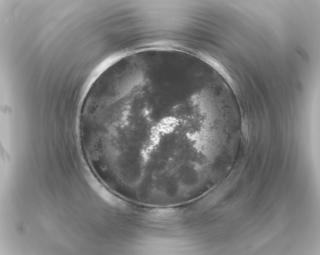 X0000091191482200708091240