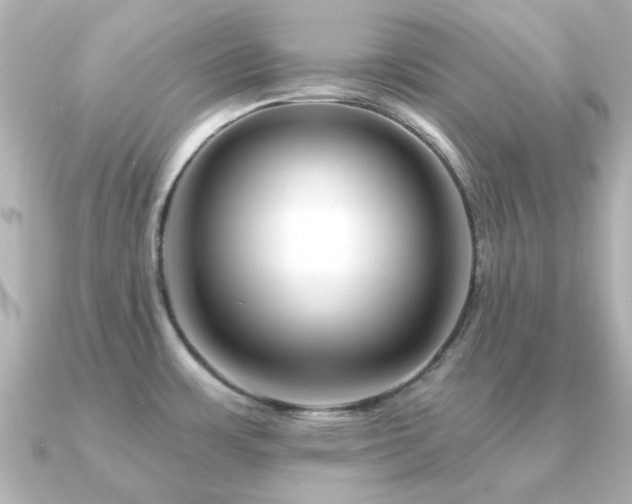 X0000091191483200708091240