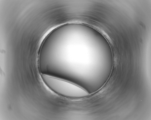 X0000091191484200708091240