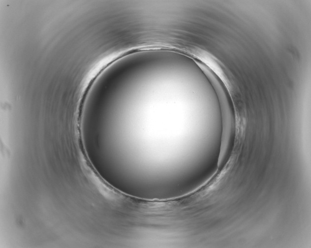 X0000091191485200708091240