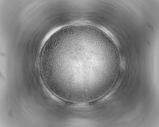 X0000091191486200708091240