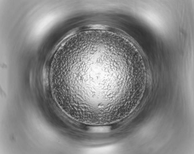 X0000091191487200708091240