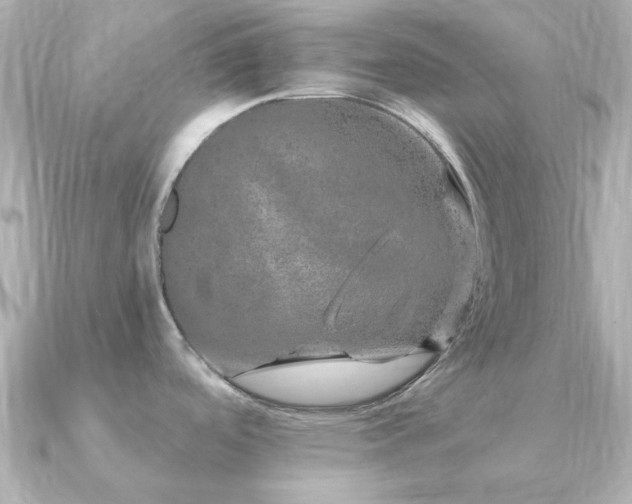 X0000091191488200708091240