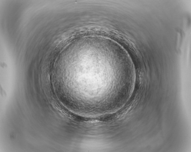 X0000091191489200708091240