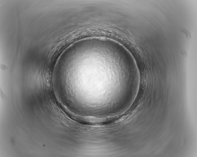 X0000091191490200708091240
