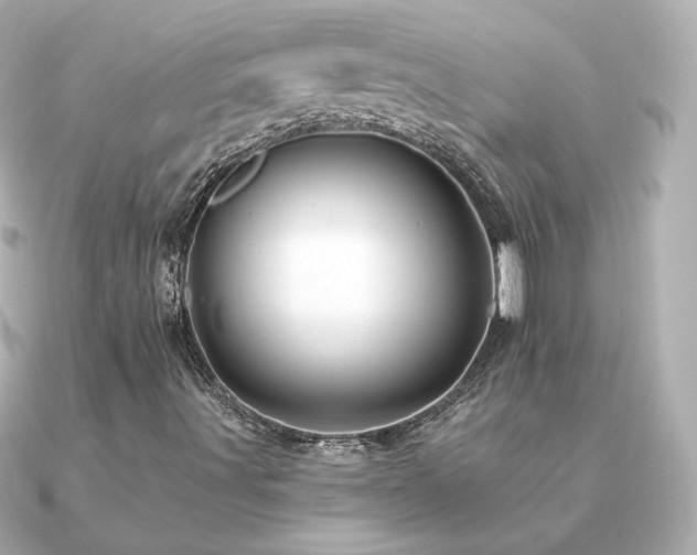 X0000091191491200708091240
