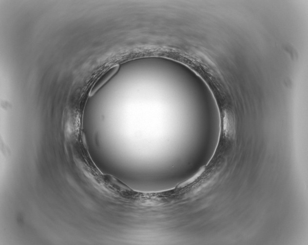X0000091191492200708091240