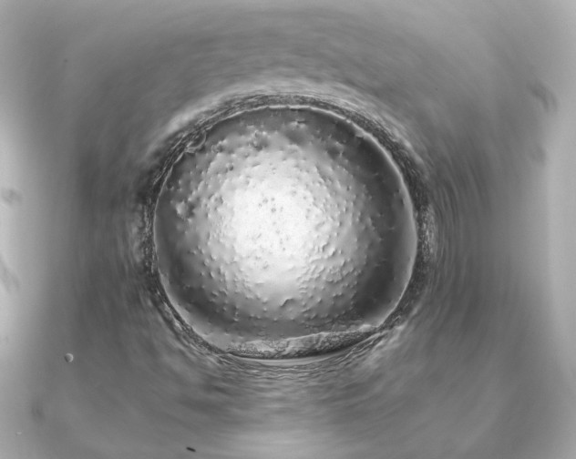 X0000091191494200708091240