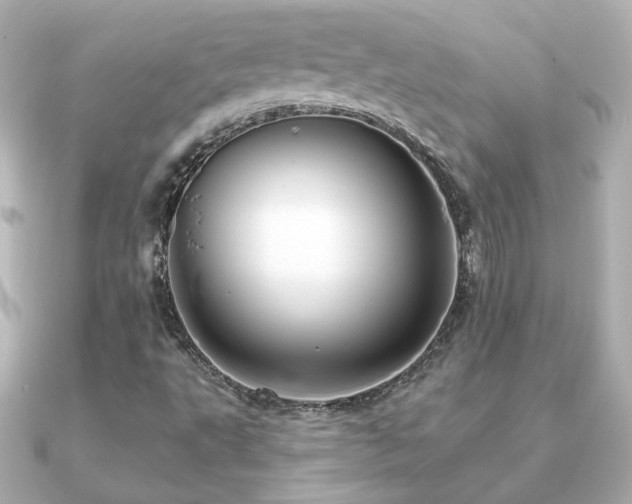 X0000091191495200708091240