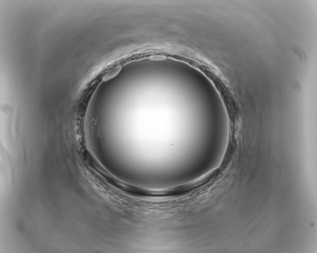 X0000091191496200708091240
