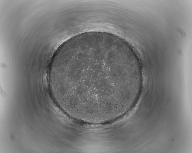 X0000091191497200708091240