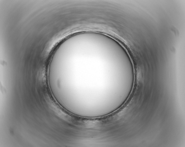 X0000091191498200708091240