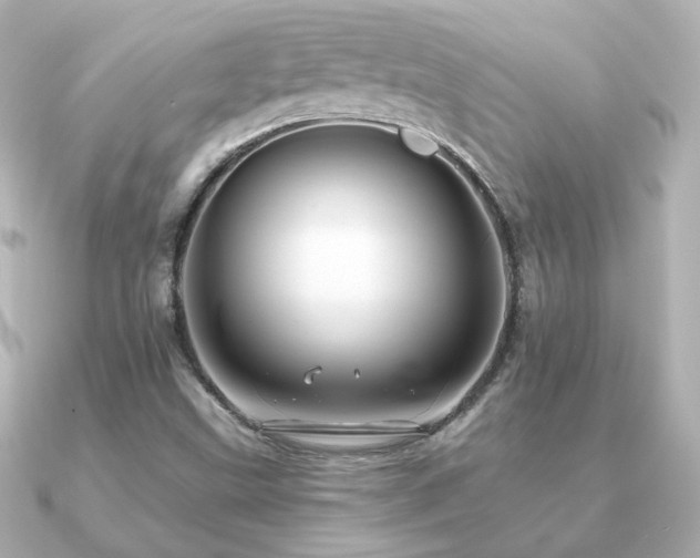 X0000091191499200708091240