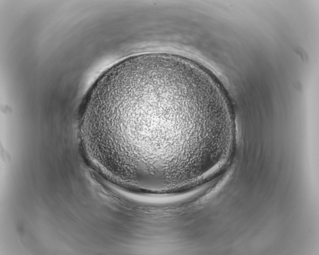 X0000091191501200708091240
