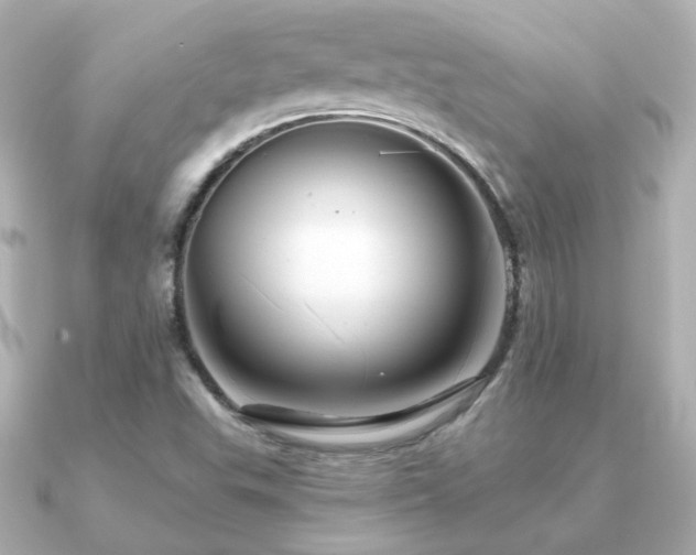 X0000091191503200708091240