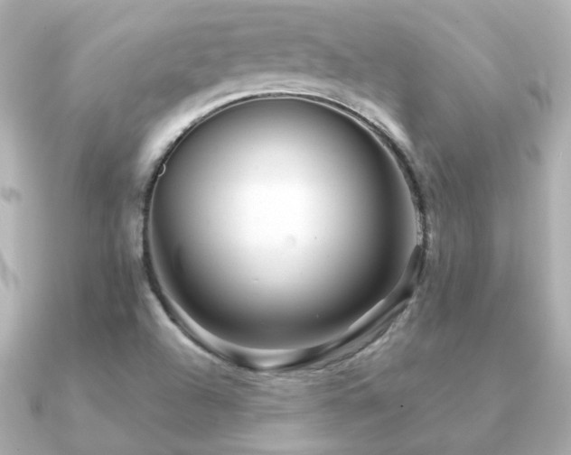X0000091191504200708091240
