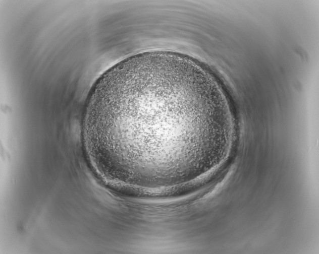 X0000091191505200708091240