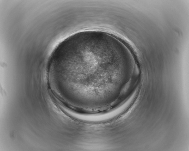 X0000091191506200708091240
