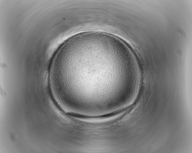 X0000091191507200708091240