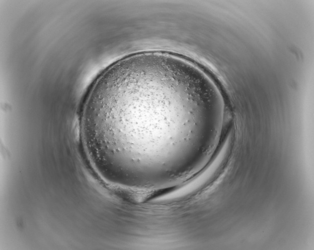 X0000091191509200708091240