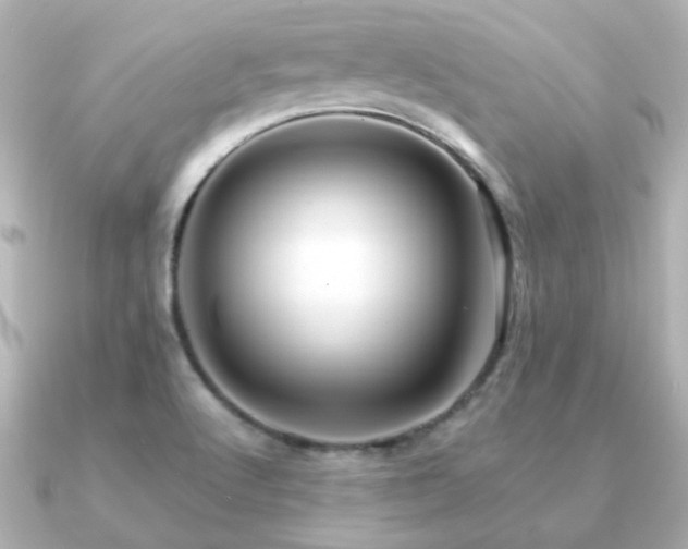 X0000091191512200708091240