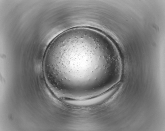 X0000091191513200708091240
