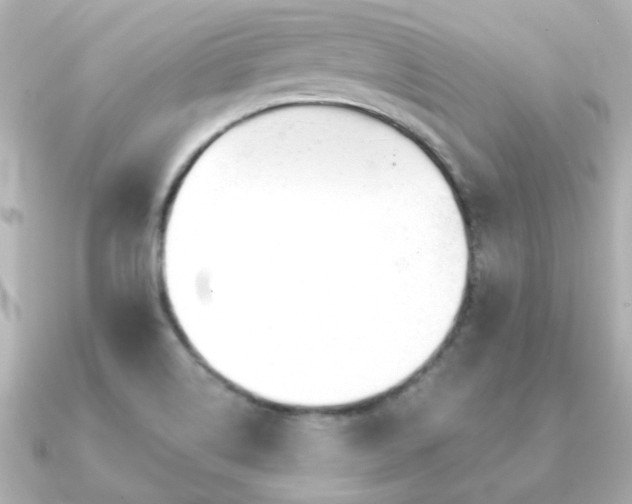 X0000091191514200708091240