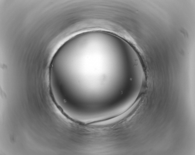 X0000091191516200708091240