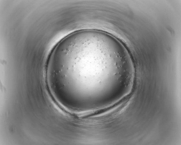X0000091191517200708091240