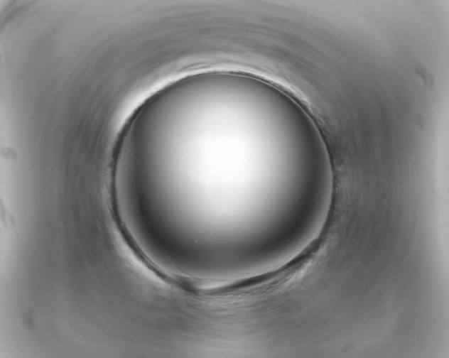 X0000091191518200708091240