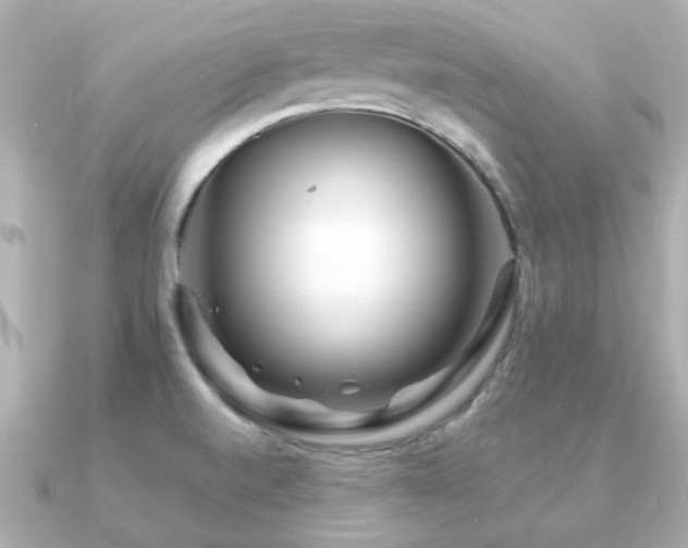 X0000091191520200708091240