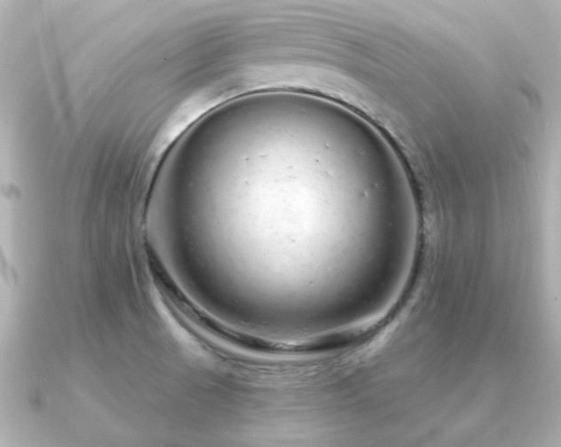 X0000091191521200708091240