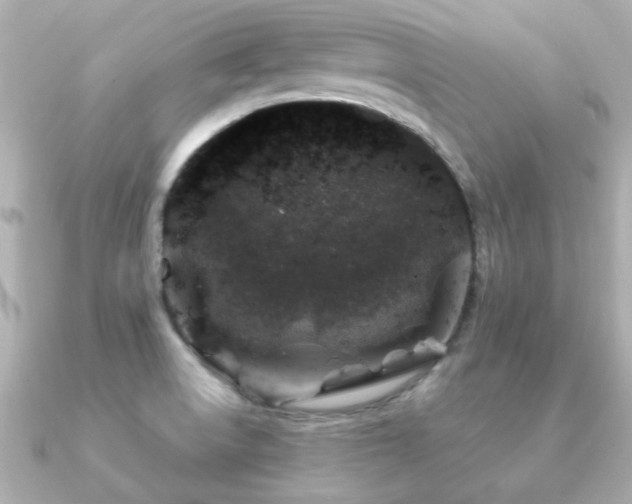 X0000091191522200708091240