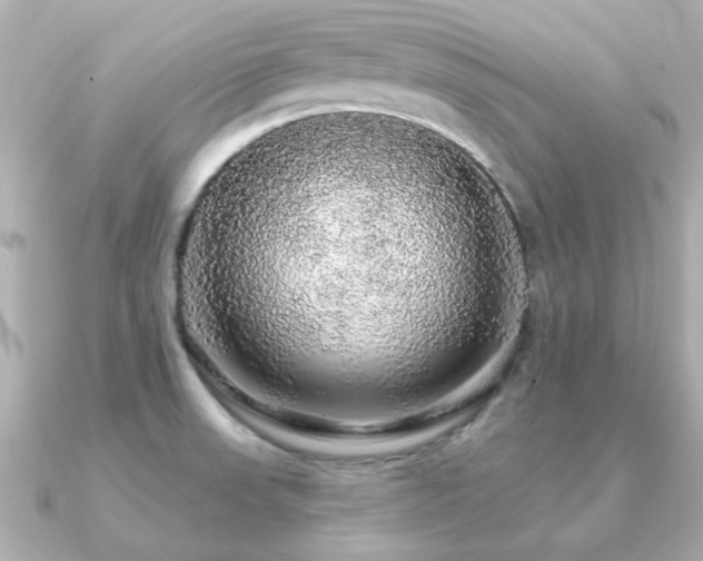 X0000091191523200708091240